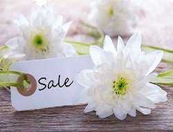 Spa Special Offer Spa Special Offers