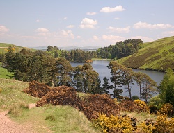 Scotland countryside
