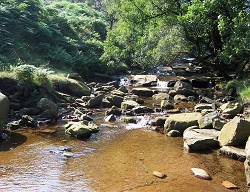 Spa Days East Yorkshire